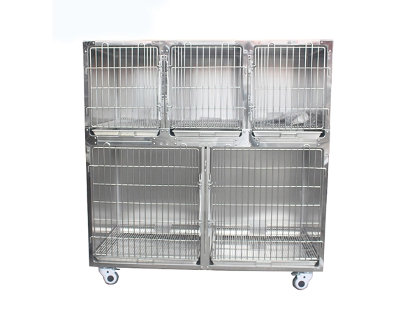 vet clinic cages