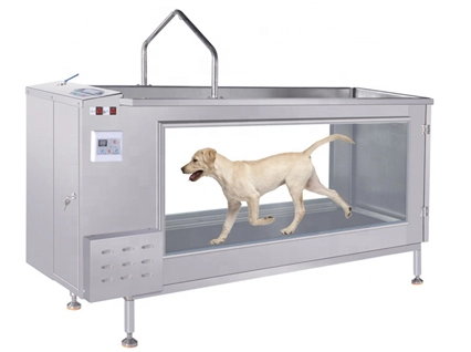 PJ-1901 CE Approved Animal Hydro Under Water Treadmill For Dogs