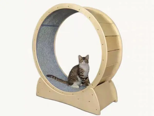 cat wheel cost