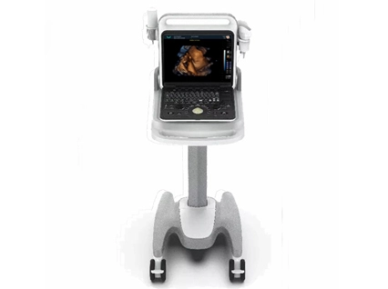 Veterinary Small B-Ultrasound Machine