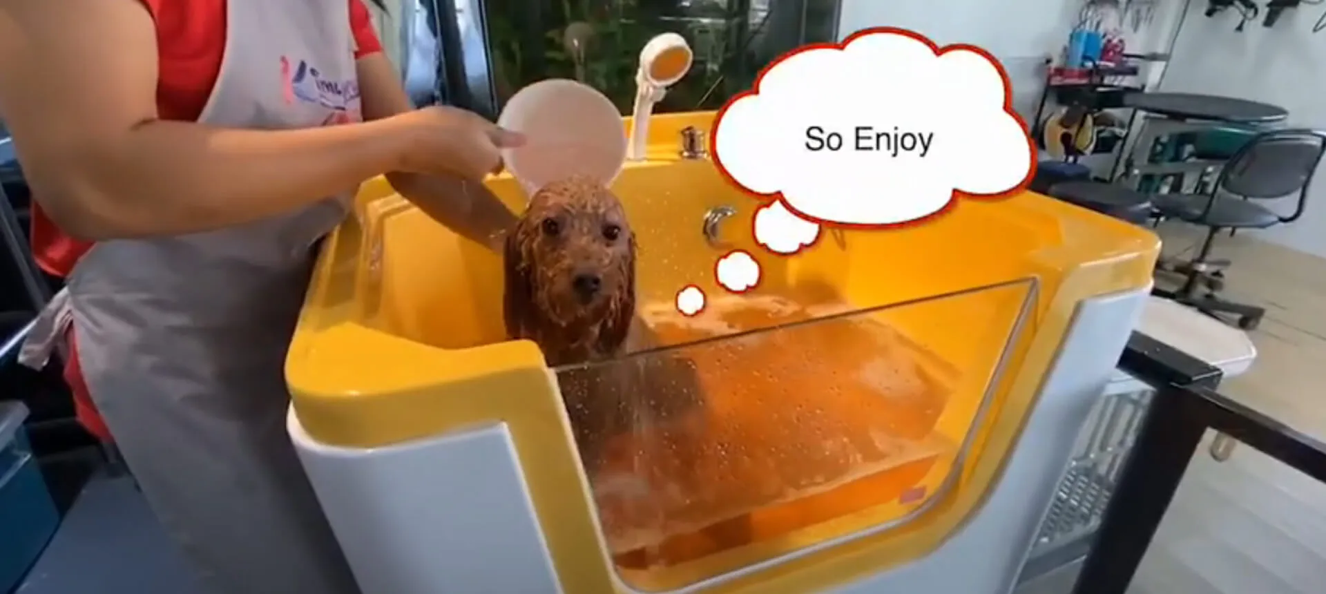 pet bathtub Display Video