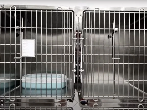 PJML-02 4 Doors Stainless Steel Veterinary Recovery Cat Cage