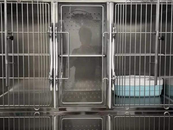 PJML04 4 Doors Veterinary Cat Clinic Cages