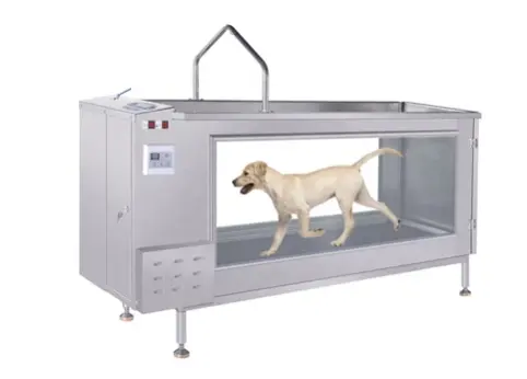 Vet Treadmill